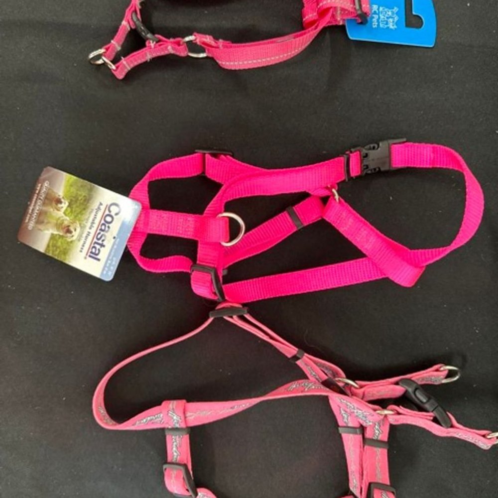 Harnesses and Collars - Picture 4 of 10